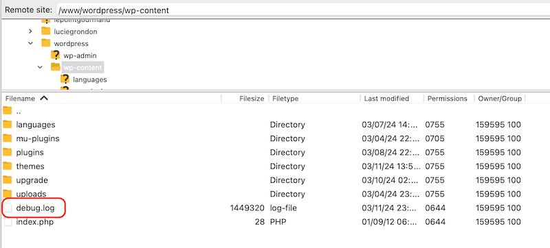 Debug.log file - Source: WP Rocket
