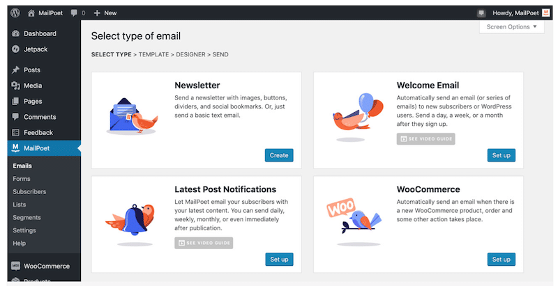 MailPoet’s email types - Source: MailPoet
